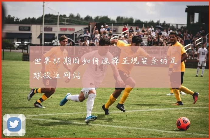 世界杯期间如何选择正规安全的足球投注网站