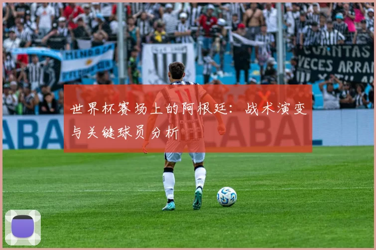 世界杯赛场上的阿根廷:战术演变与关键球员分析
