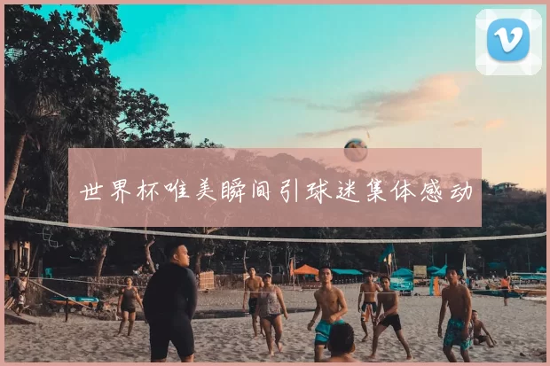 世界杯唯美瞬间引球迷集体感动