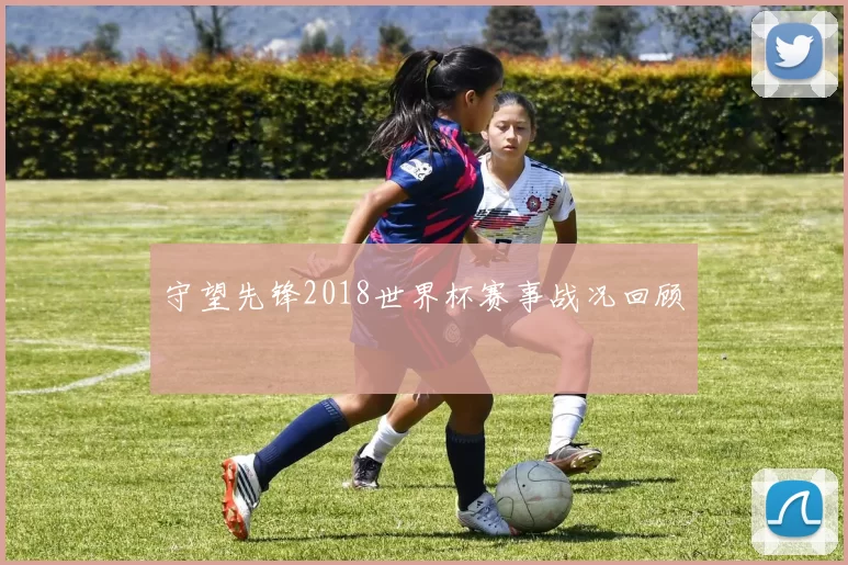 守望先锋2018世界杯赛事战况回顾