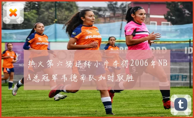 热火第六场逆转小牛夺得2006年NBA总冠军韦德率队加时取胜