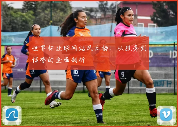 世界杯让球网站风云榜:从服务到信誉的全面剖析