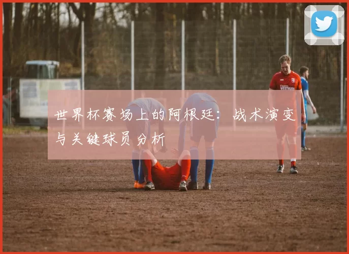 世界杯赛场上的阿根廷:战术演变与关键球员分析