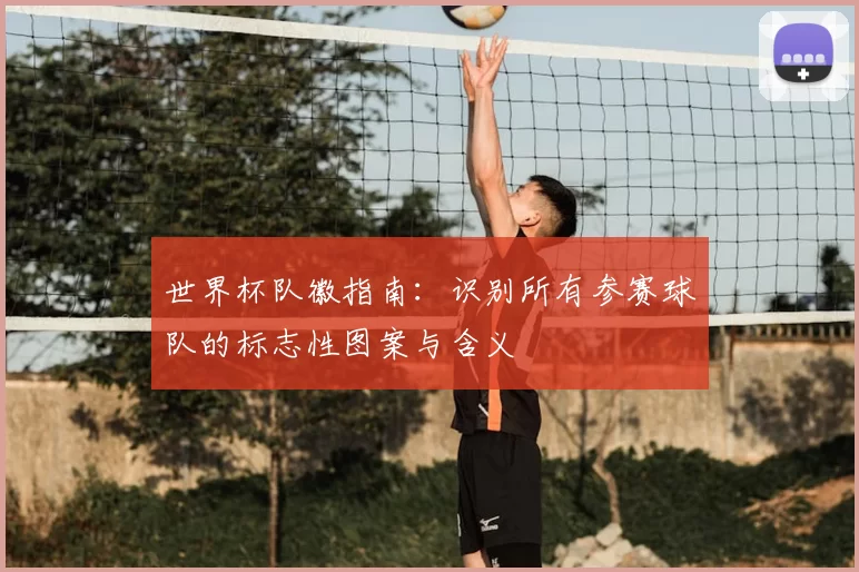 世界杯队徽指南：识别所有参赛球队的标志性图案与含义
