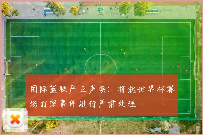 国际篮联严正声明:将就世界杯赛场打架事件进行严肃处理