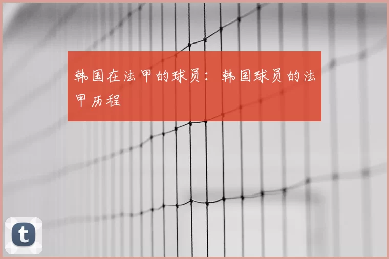 韩国在法甲的球员：韩国球员的法甲历程