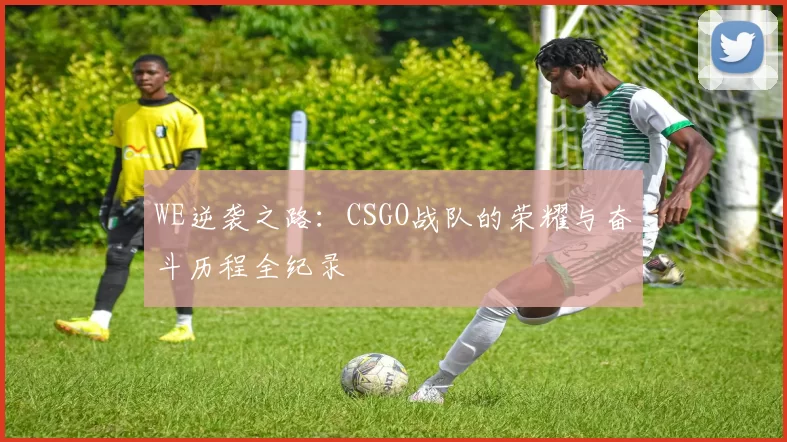 WE逆袭之路：CSGO战队的荣耀与奋斗历程全纪录