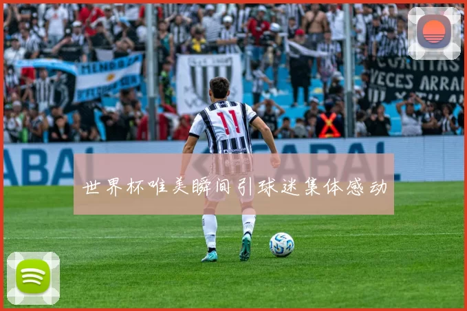 世界杯唯美瞬间引球迷集体感动