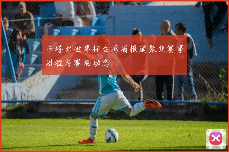 卡塔尔世界杯台湾省报道聚焦赛事进程与赛场动态