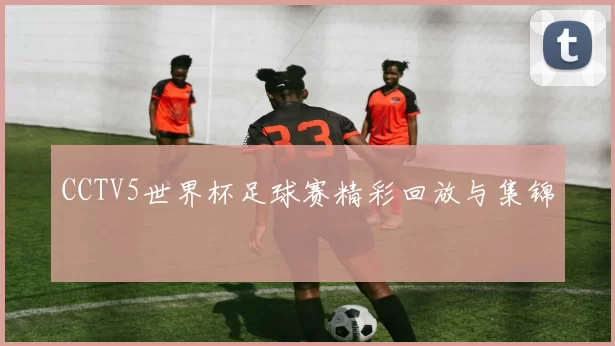 CCTV5世界杯足球赛精彩回放与集锦