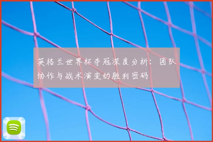 英格兰世界杯夺冠深度分析:团队协作与战术演变的胜利密码