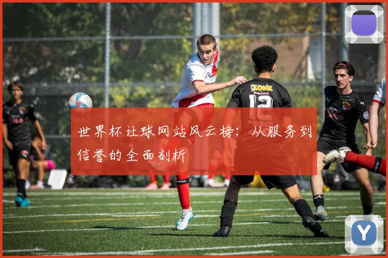 世界杯让球网站风云榜：从服务到信誉的全面剖析