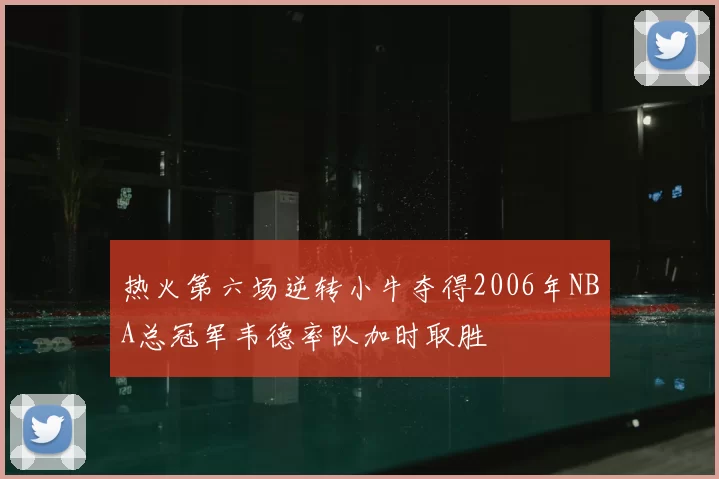 热火第六场逆转小牛夺得2006年NBA总冠军韦德率队加时取胜