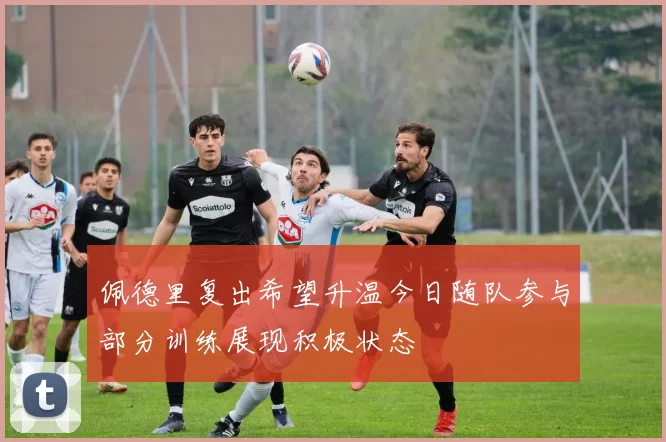 佩德里复出希望升温今日随队参与部分训练展现积极状态