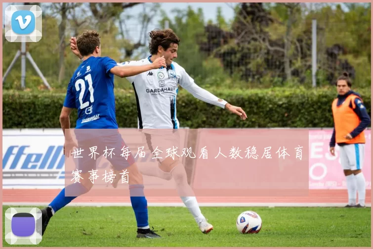 世界杯每届全球观看人数稳居体育赛事榜首